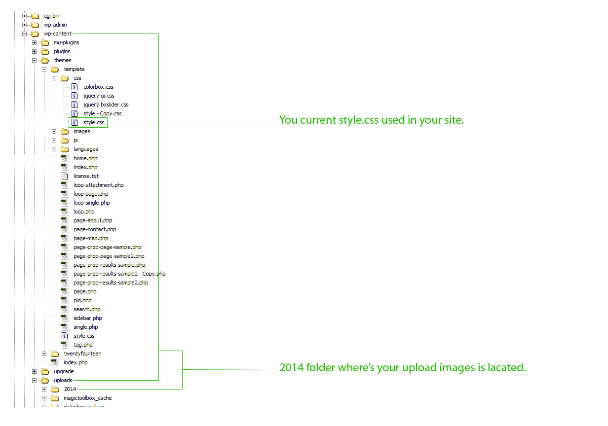 Background image file path css