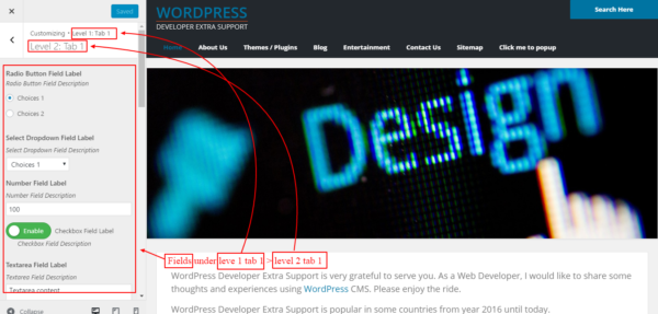 WordPress Customize Options Code - Image 4