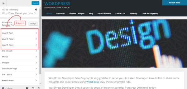 WordPress Customize Options Code