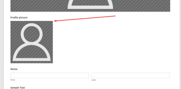 Gravity Forms Media Upload Field - User Avatar Photo Front-end