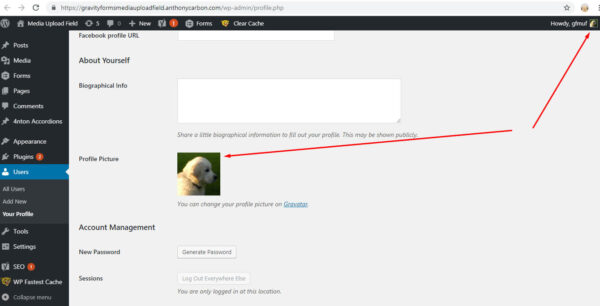 Gravity Forms Media Upload Field - User Profile Avatar Photo